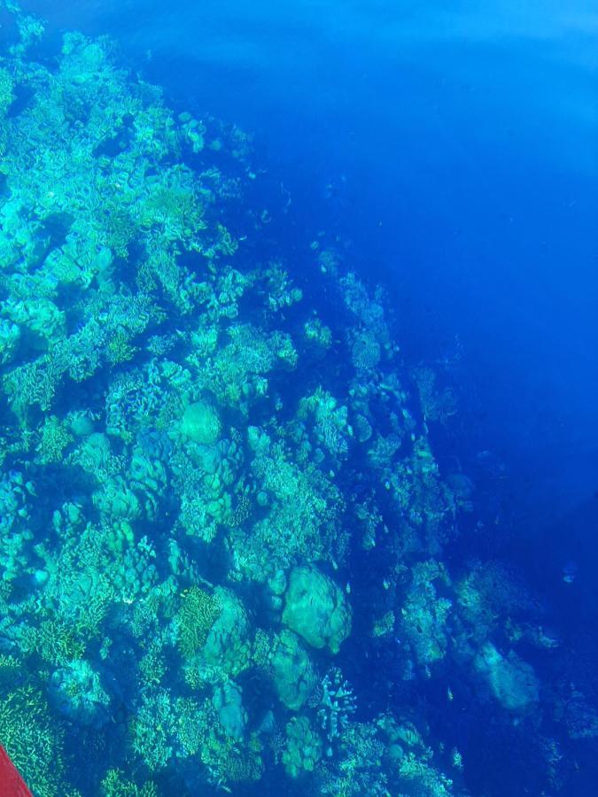 Blue Shark Divers Bunaken Eksteriør bilde